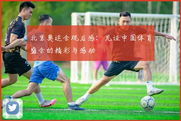 北京奥运会观后感：见证中国体育盛会的精彩与感动